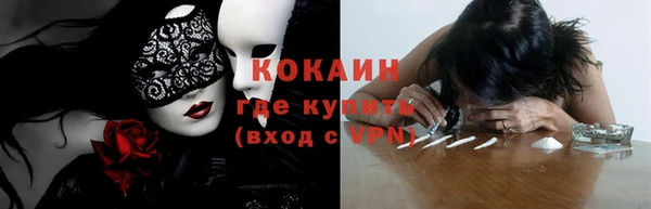 кокс Ельня