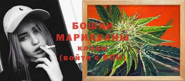кокс Ельня