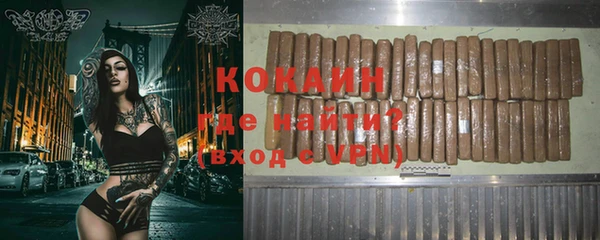 кокс Ельня