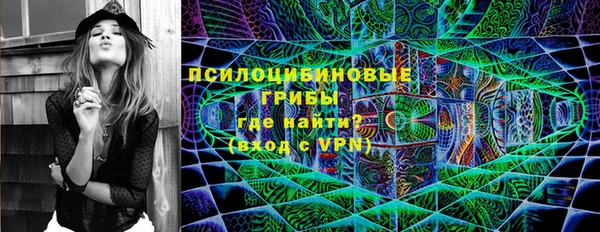 кокс Ельня