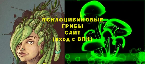 кокс Ельня